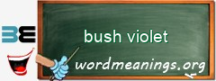 WordMeaning blackboard for bush violet